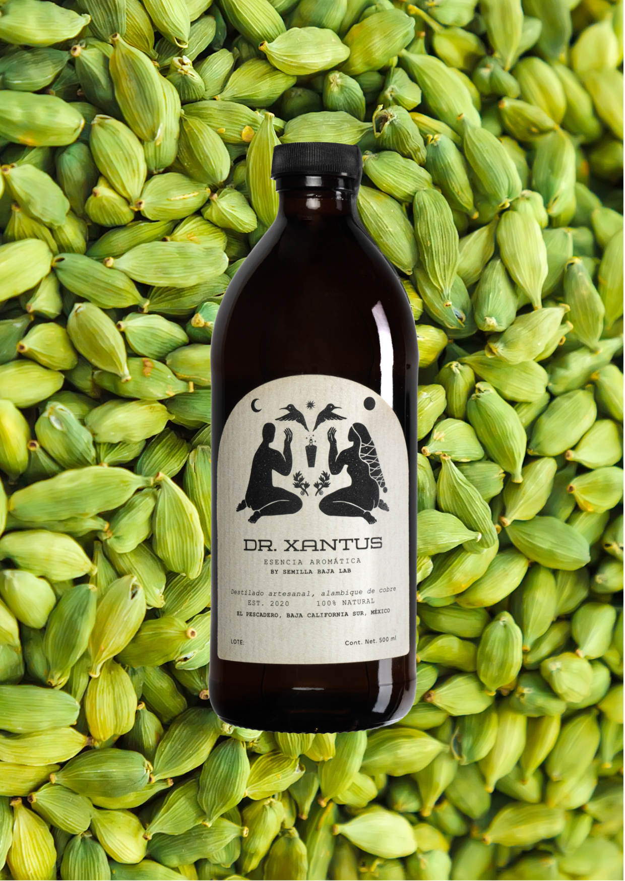 Dr.Xantus Cardamomo Esencia aromática Dr. Xantus Cardamomo destilada en cobre - Botella artesanal 500ml sin alcohol