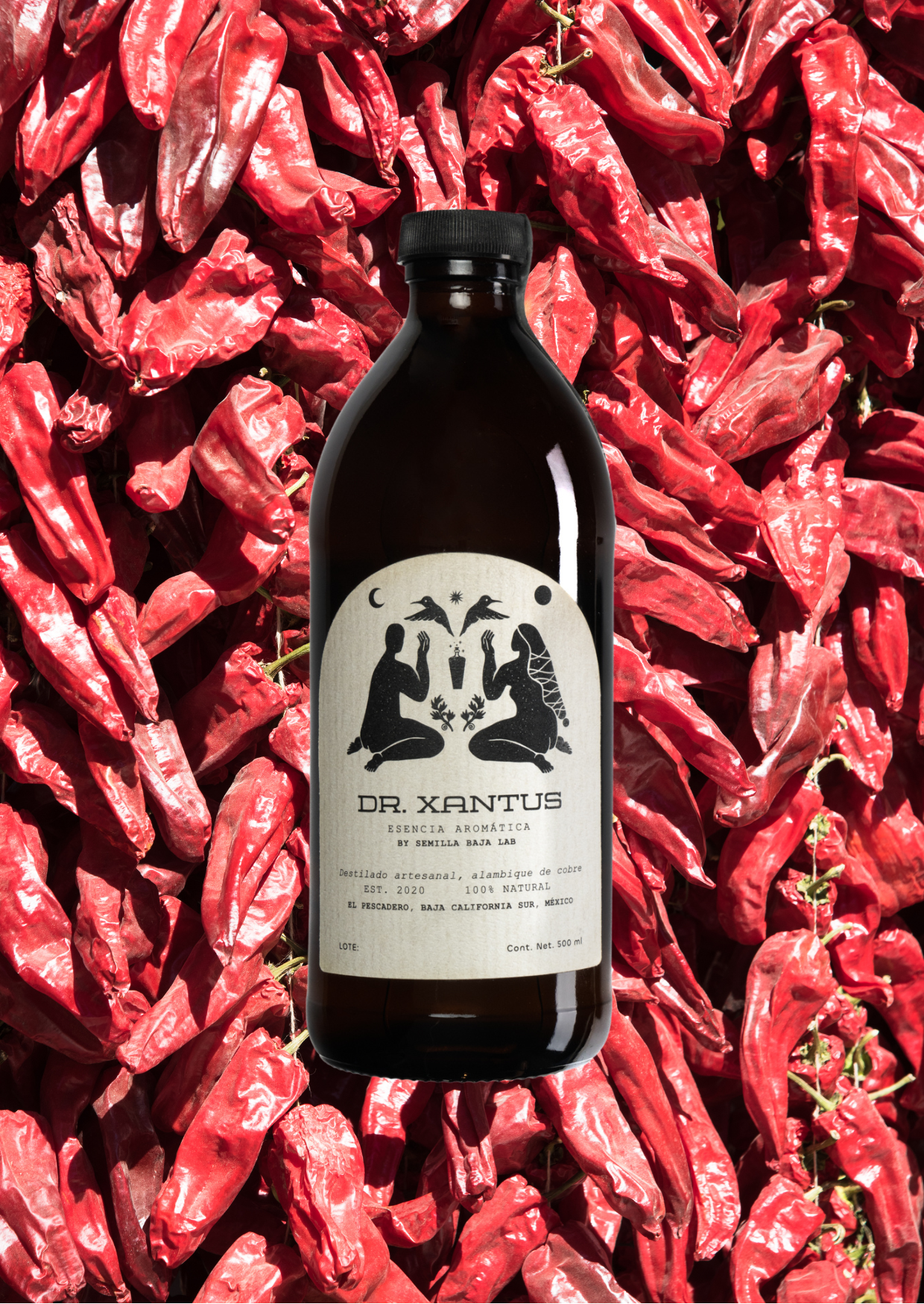 Dr. Xantus Chiles Tostados Esencia Aromática destilada en cobre - Botella artesanal 500 ml sin alcohol
