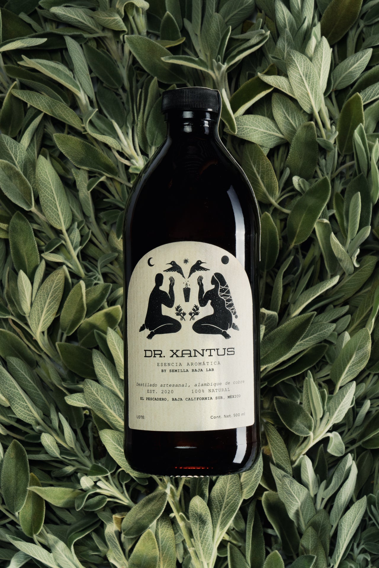 Dr.Xantus Salvia Blanca Esencia aromática Dr. Xantus Salvia Blanca destilada en cobre - Botella artesanal 500ml sin alcohol
