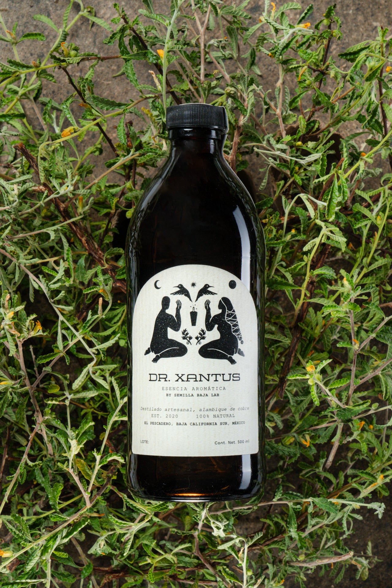 Dr.Xantus Damiana Esencia aromática Dr. Xantus Damiana destilada en cobre - Botella artesanal 500ml sin alcohol