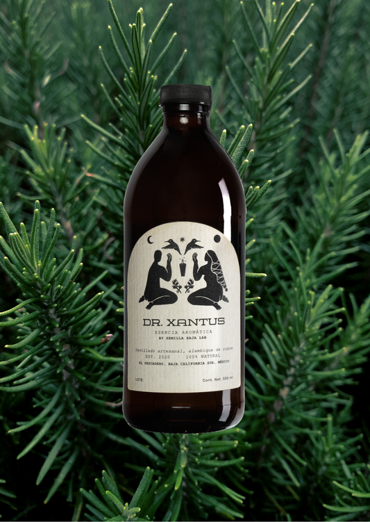 Dr.Xantus Romero Esencia aromática Dr. Xantus Romero destilada en cobre - Botella artesanal 500ml sin alcohol