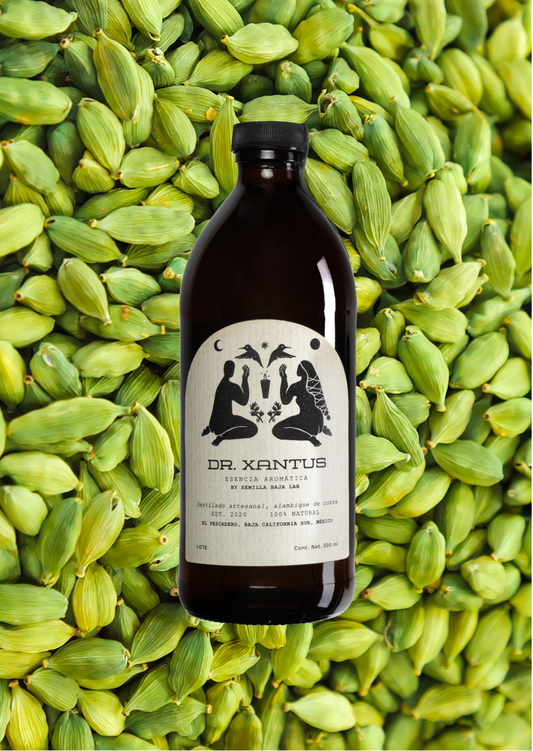 Dr.Xantus Cardamomo Esencia aromática Dr. Xantus Cardamomo destilada en cobre - Botella artesanal 500ml sin alcohol