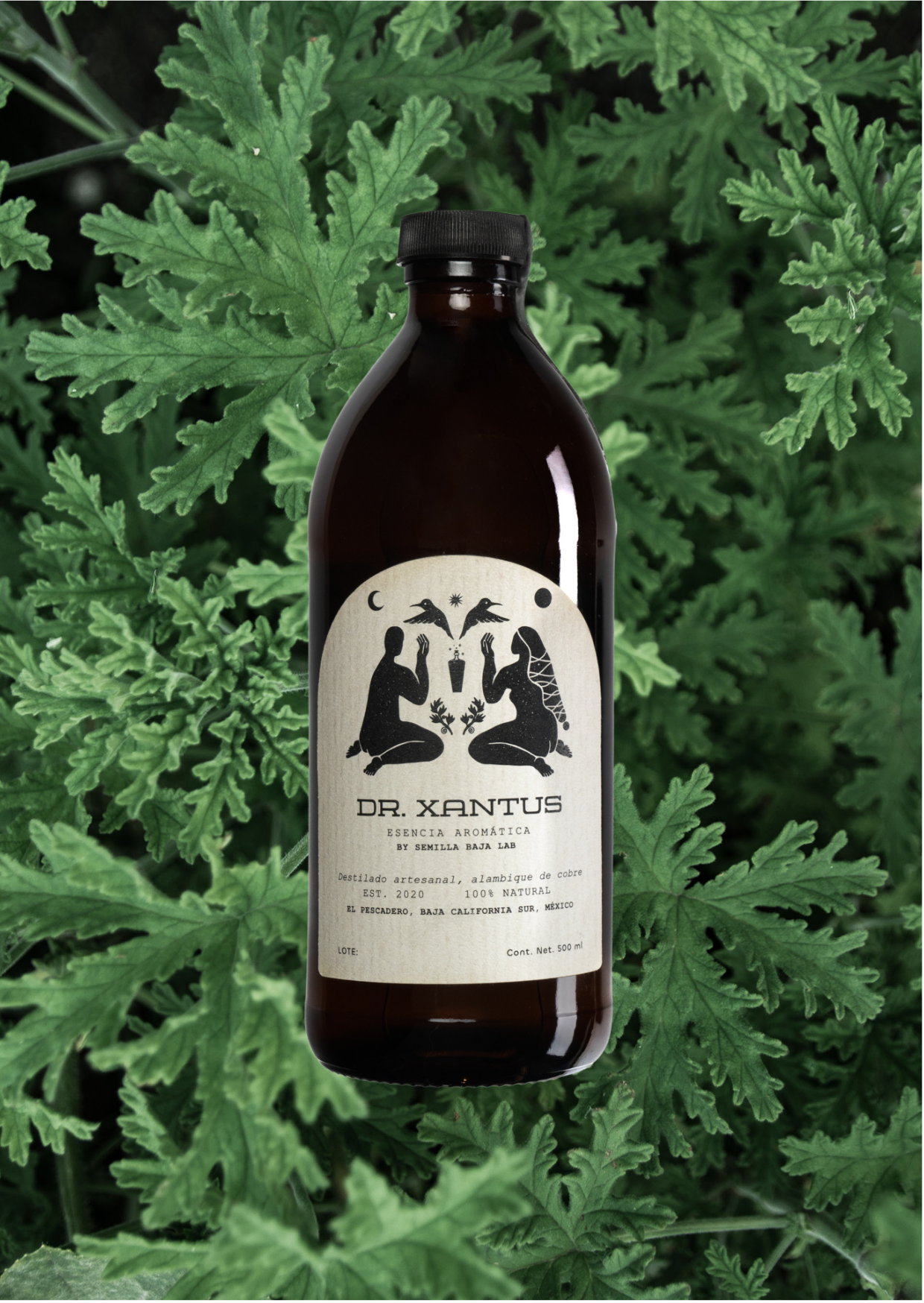 Dr.Xantus Geranio Rosa Esencia aromática Dr. Xantus Geranio Rosa destilada en cobre - Botella artesanal 500ml sin alcohol