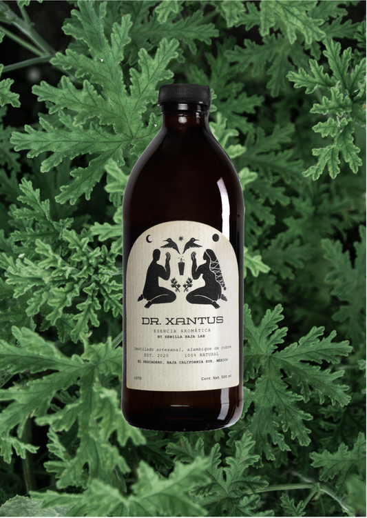 Dr.Xantus Geranio Rosa Esencia aromática Dr. Xantus Geranio Rosa destilada en cobre - Botella artesanal 500ml sin alcohol
