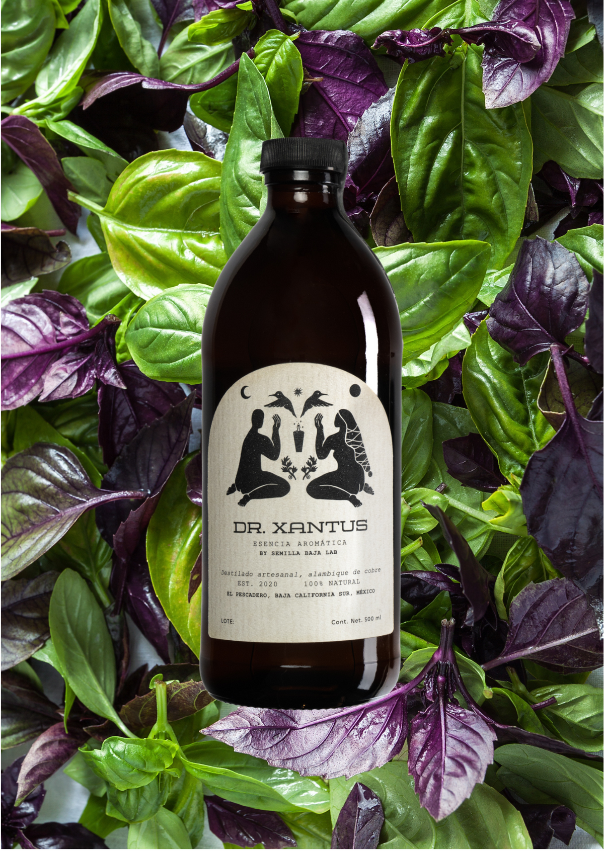 Dr. Xantus Albahaca Ensamble Esencia aromática Dr. Xantus Albahaca Ensamble destilada en cobre - Botella artesanal 500ml sin alcohol