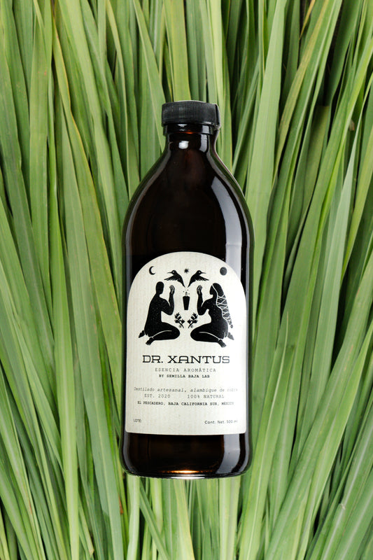 Dr.Xantus Limoncillo